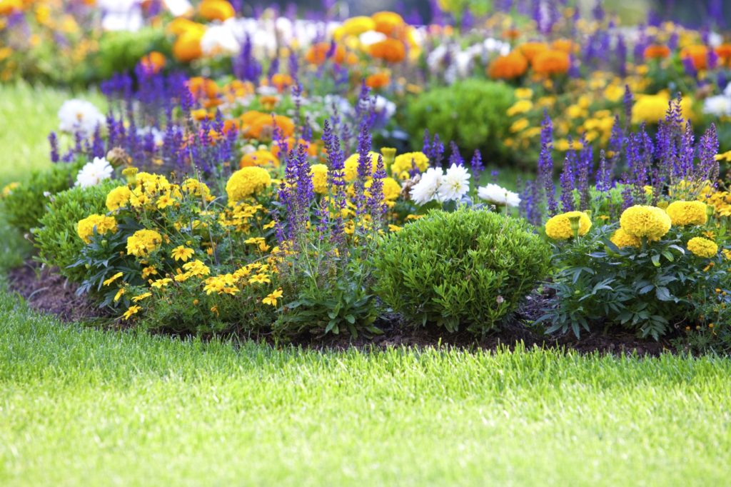 You are currently viewing Planning On Planting? Victoria Day Is The Day!