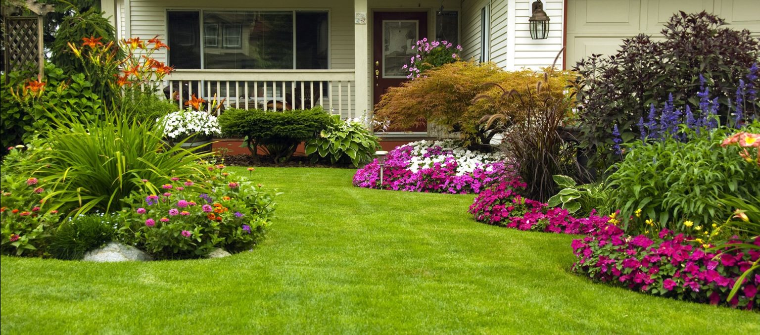 You are currently viewing Spring Garden Cleanups