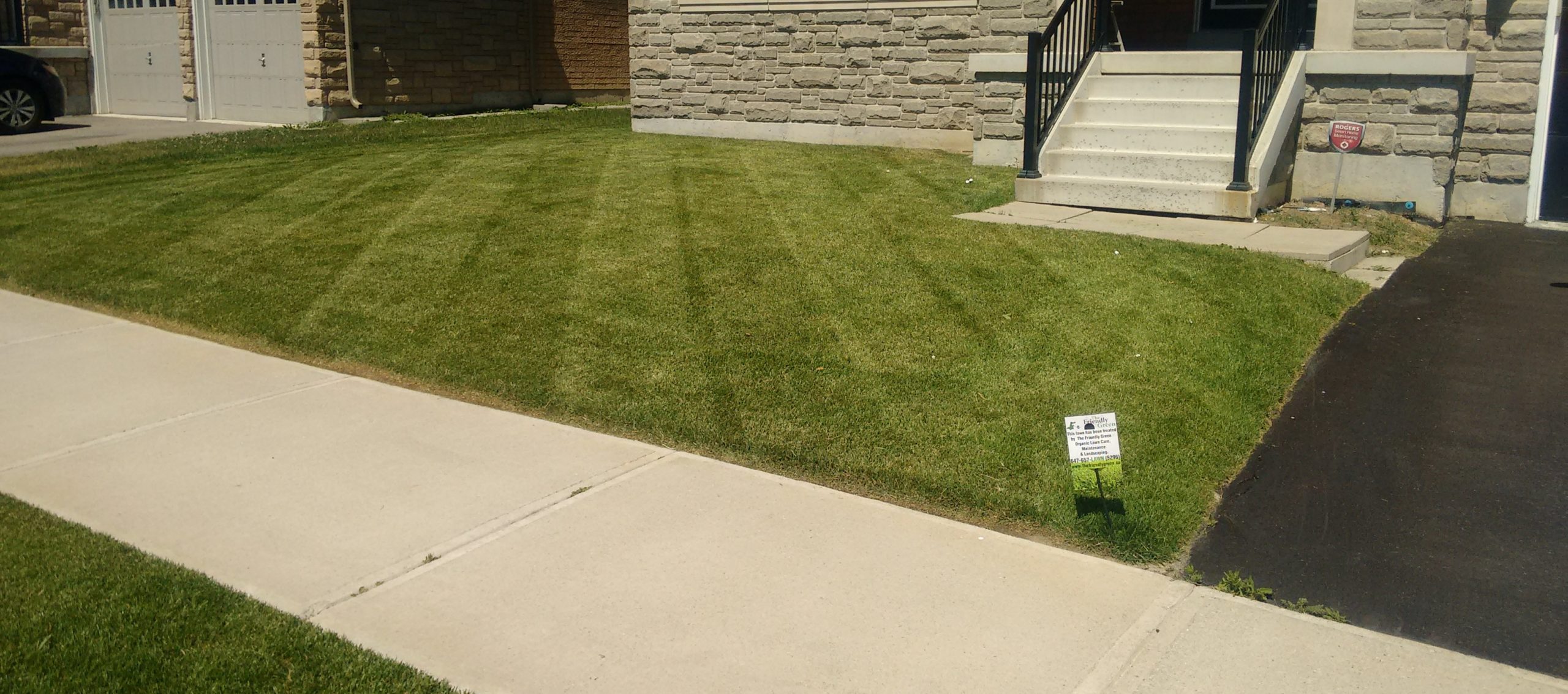 You are currently viewing The Grass Is Growing